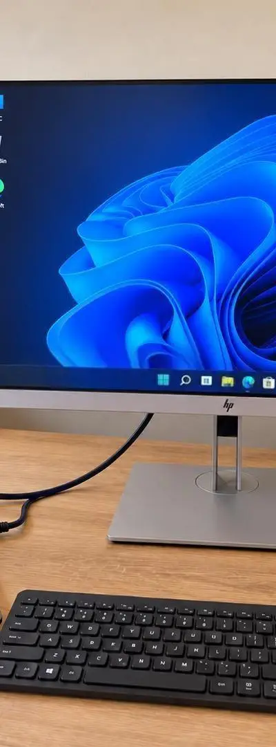 Écran PC HP E243