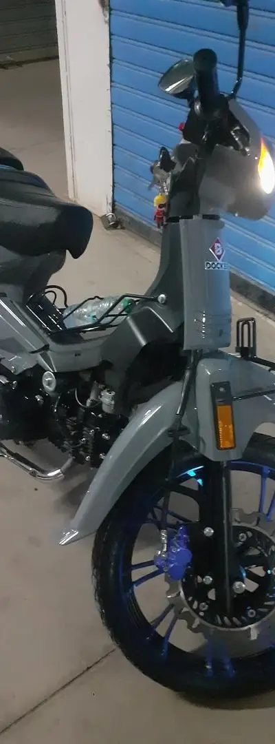 C50 Grinardo 2025 / 127cc spider original