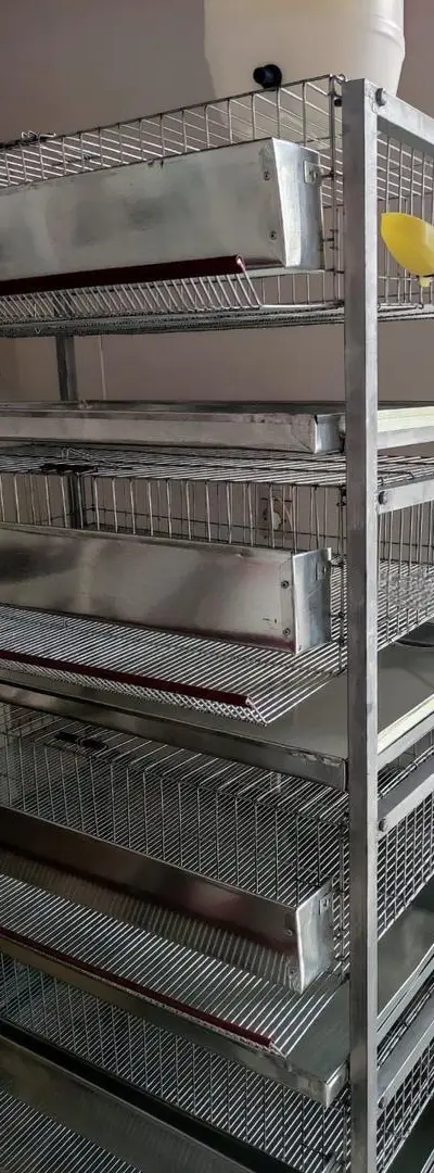 Cage pour cailles neuves
