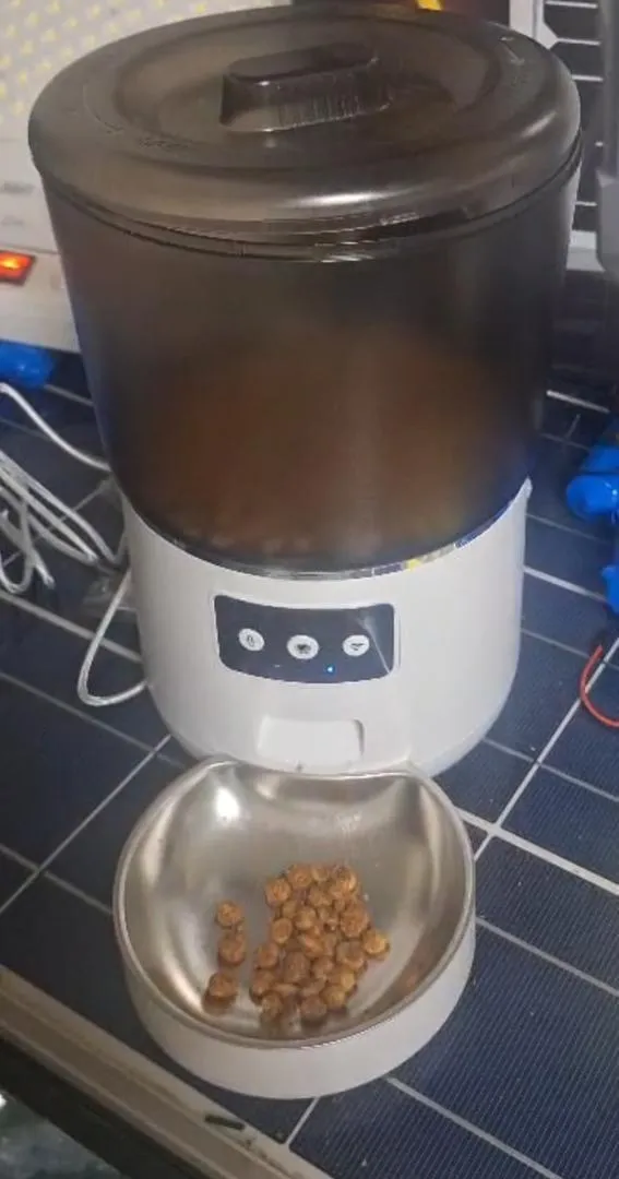 Distributeur pour chat