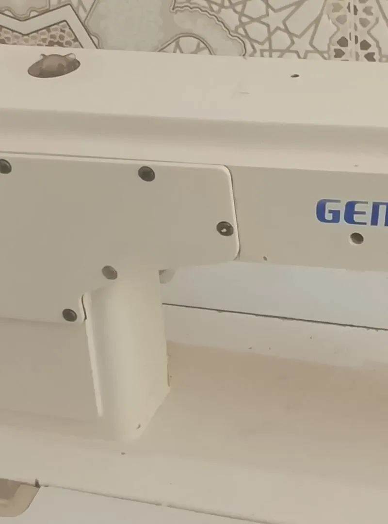 Industrielle gemsy
