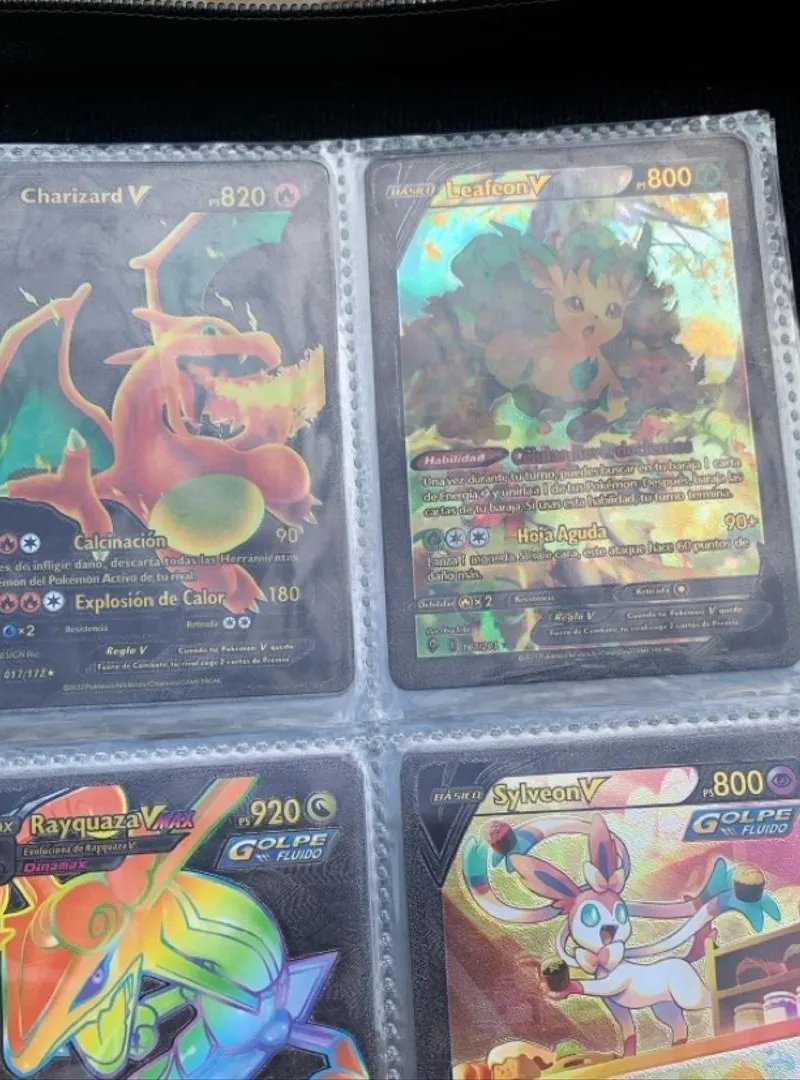Carnet Pokemon