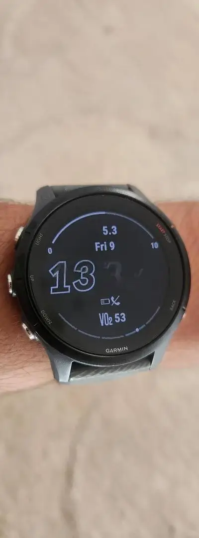 Garmin Forerunner 255