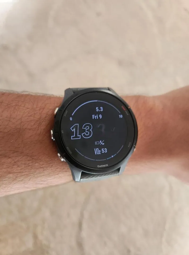 Garmin Forerunner 255