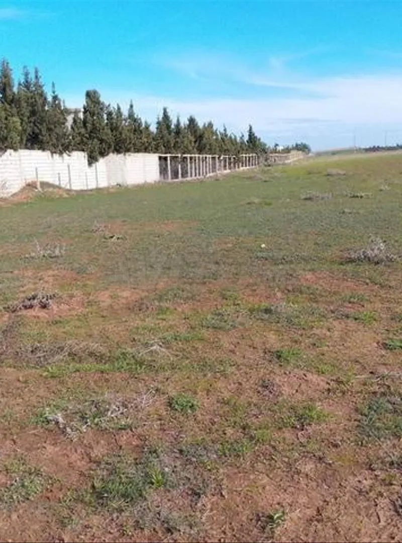 Terrains et fermes titrés à Bir Jdid