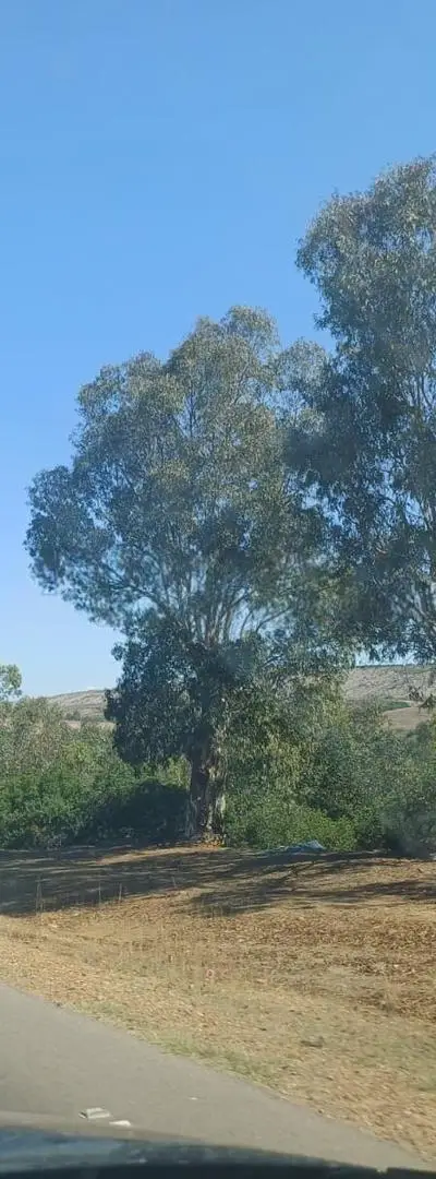 Grand Terrain Titré