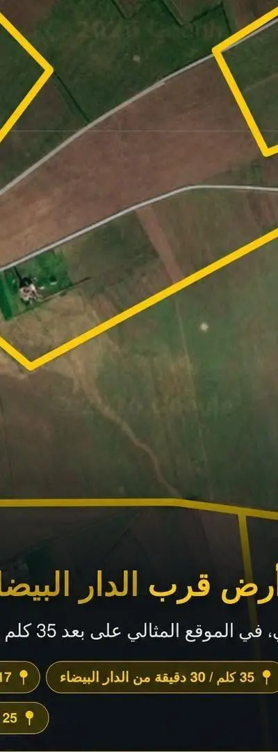 Terrain 100 hectares titré à vendre - 50 millions par hectare
