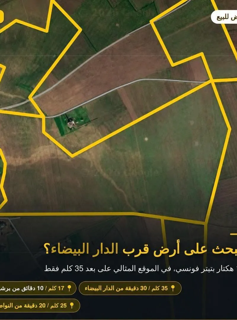 Terrain 100 hectares titré à vendre - 50 millions par hectare