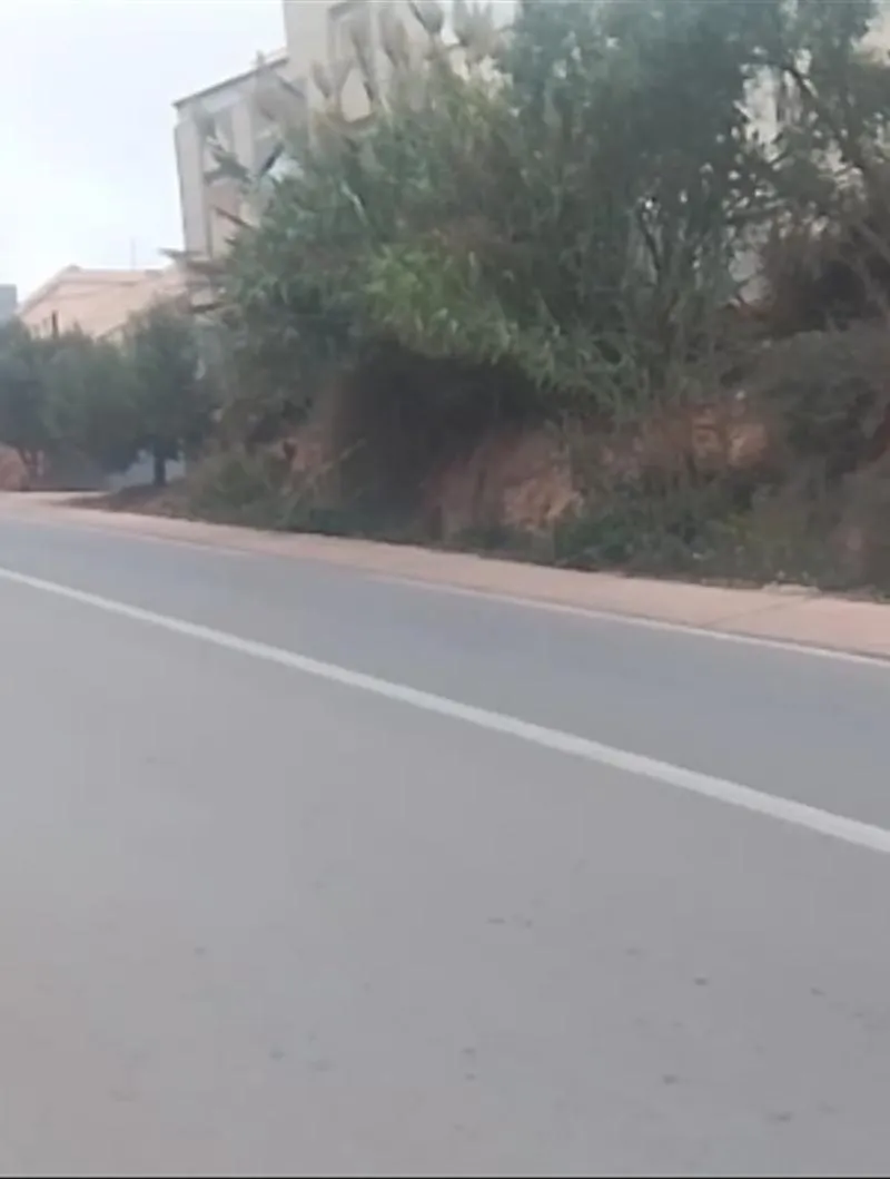 Al Hoceima - Tala Yousef