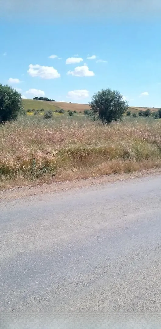 Terrain agricole titré à vendre 3 hectares