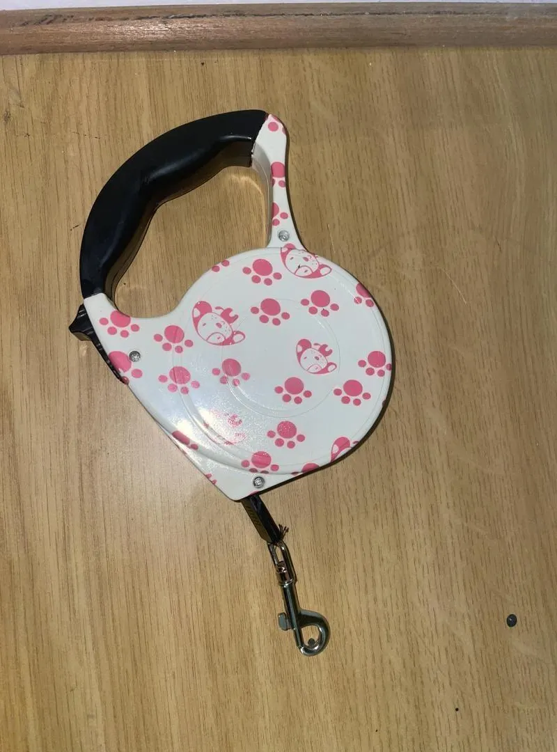 Laisse pour chiens