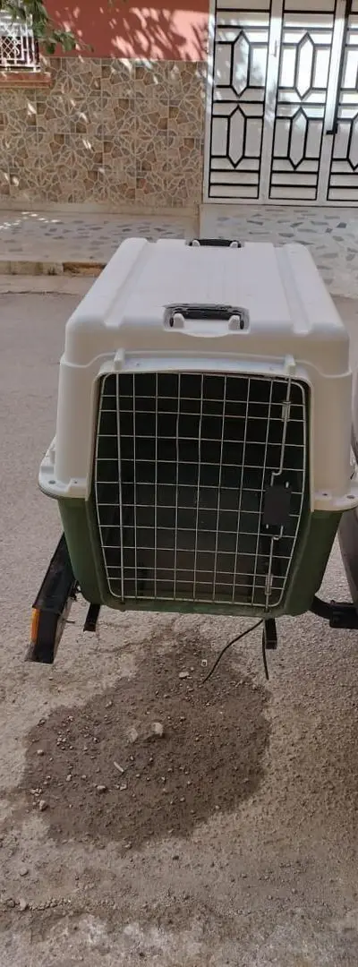 Cage de transport pour chien sur attelage
