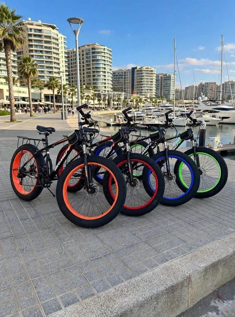 Vélo VTT FAT BIKE 26 pouces