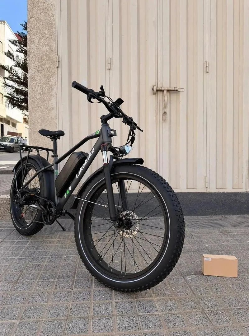 Vélo Électrique Likebike Lite Lander S 48V