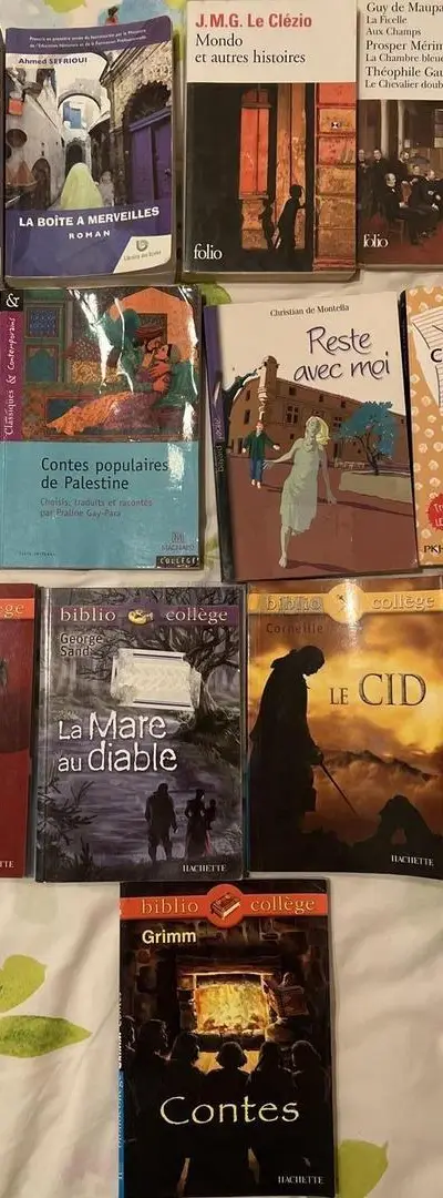Livres de littérature française en bon état – 20 DH