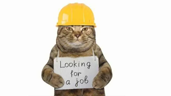 Assistant Administratif & Agent de Réservations