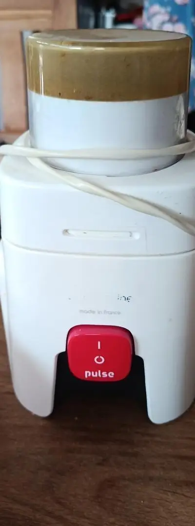 Mélangeur électrique pour matières sèches