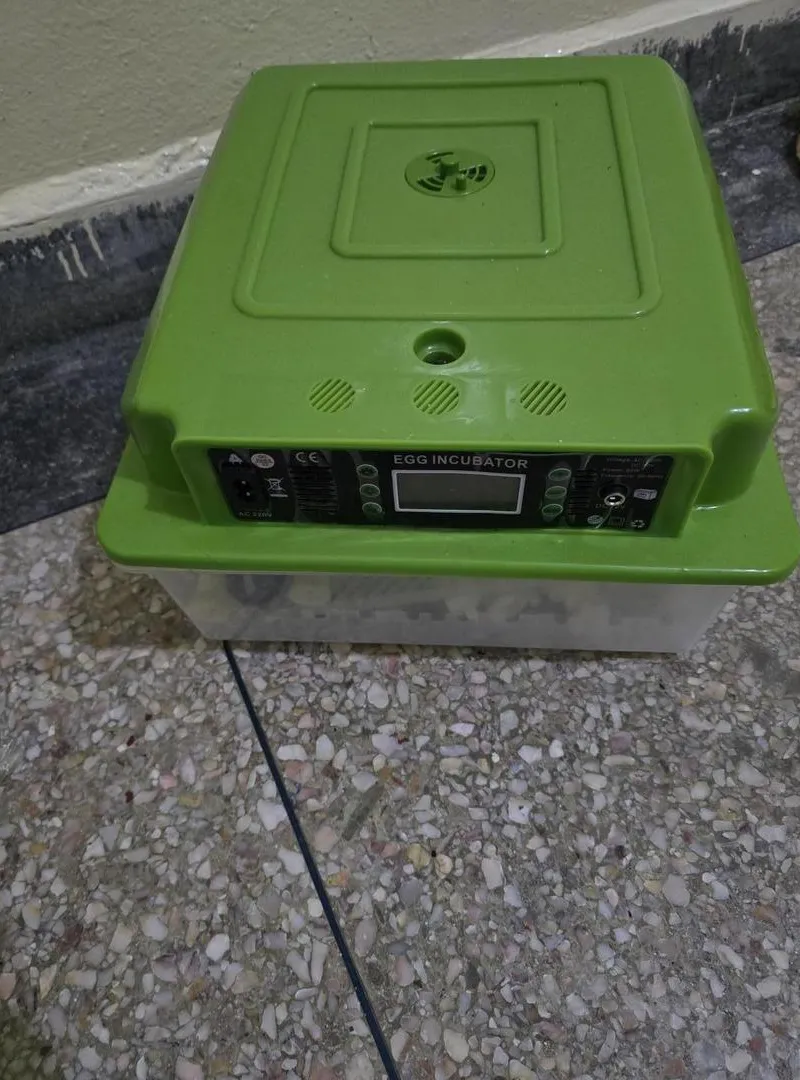 Incubateur automatique 36 œufs