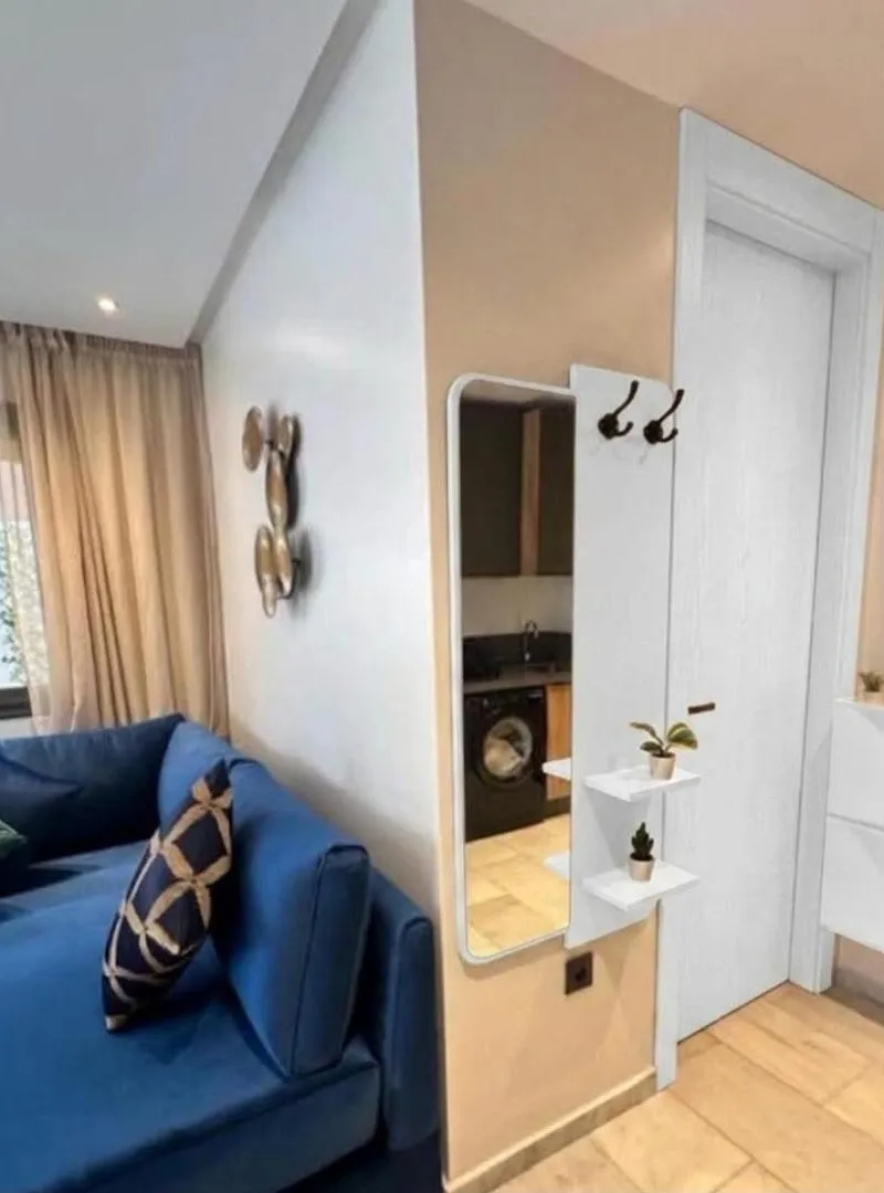 Miroir d'entrée