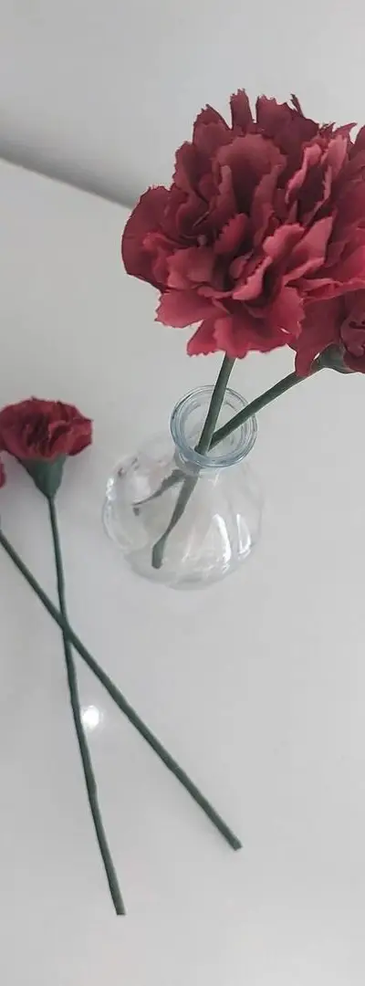 Fleurs Éternelles