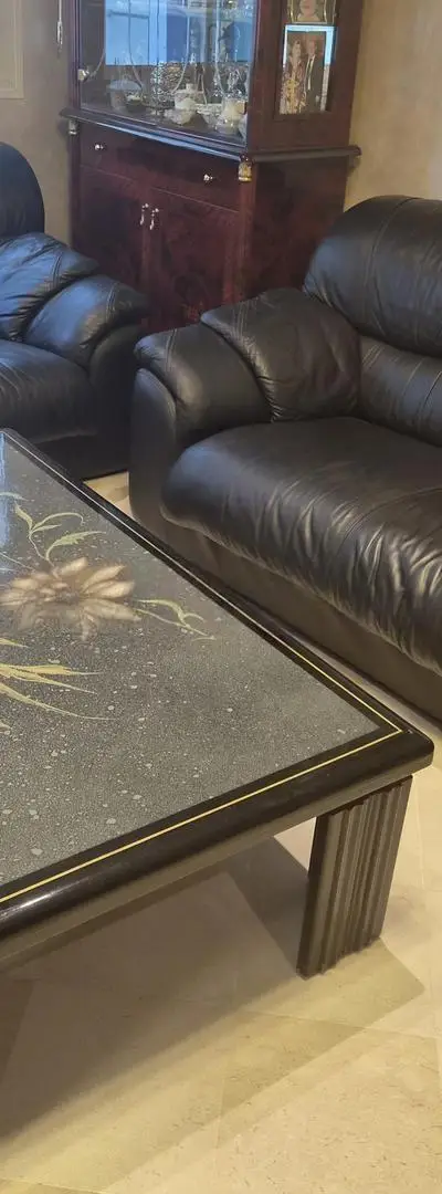 Salon Fauteuils en cuir avec Table