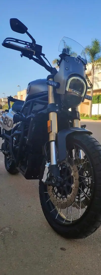 Benelli Leoncino 800 T à vendre