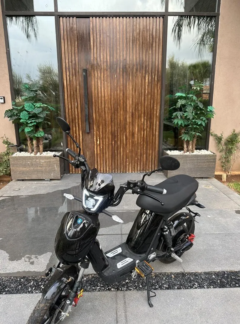 Nouveau Vélo Électrique à Vendre
