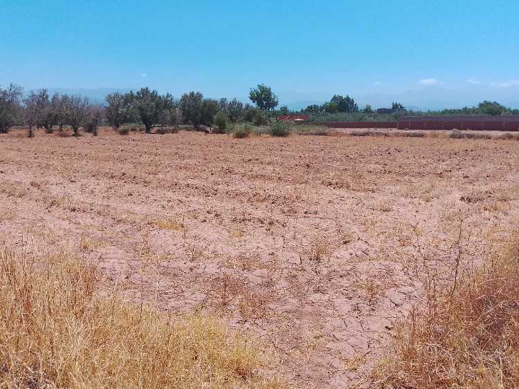 A vendre terrain 2500 route ourika
