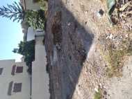 Terrain a Mediona
