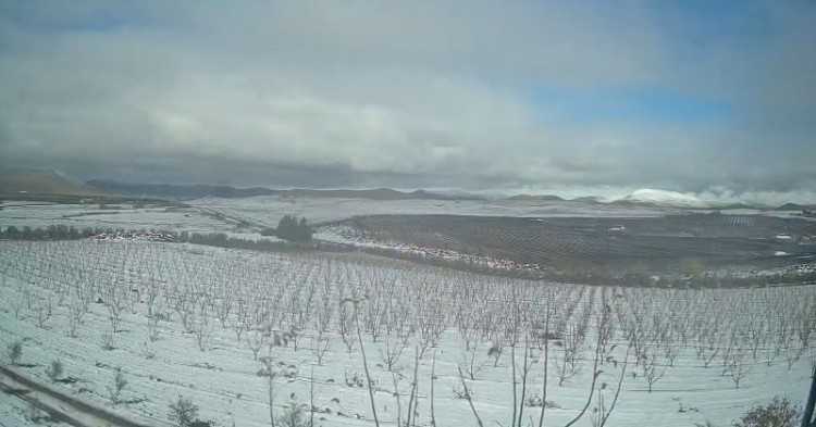 Belle ferme d'azrou,ain leuh de 3,17 hectares