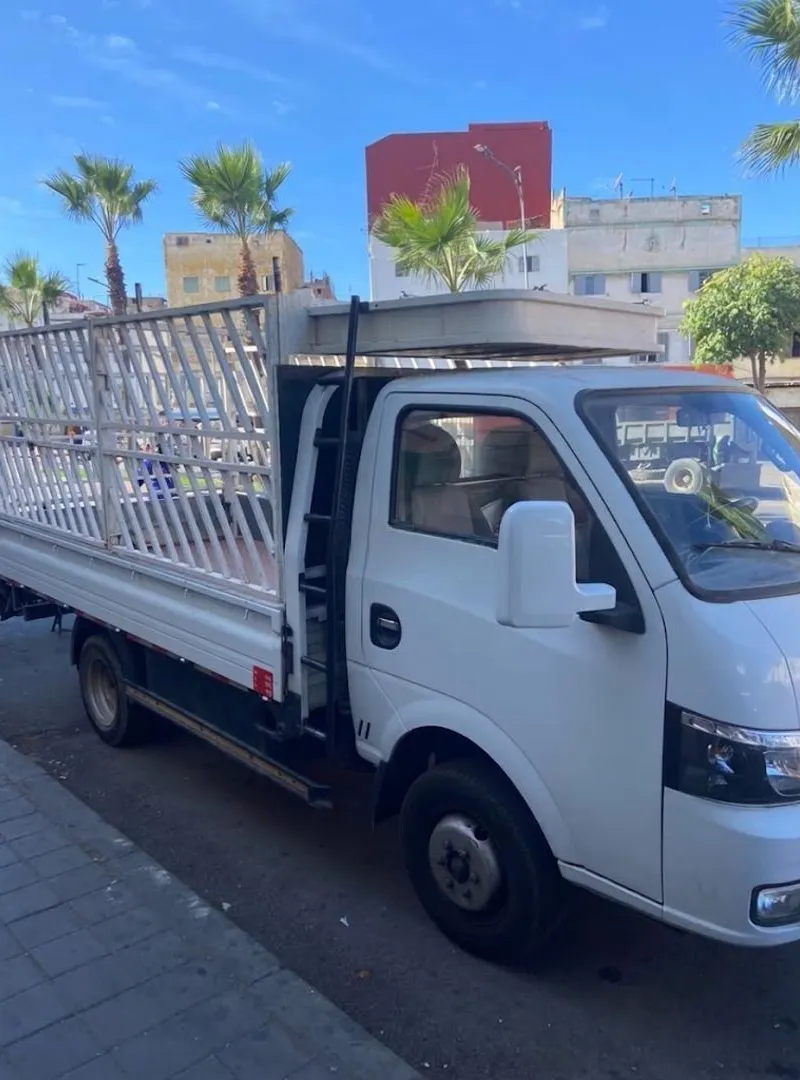 TRANSPORT DE MARCHANDISES – CAMION DISPONIBLE