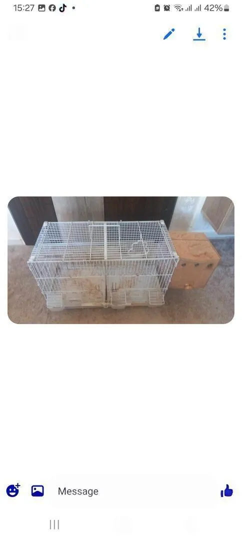 Cage pour oiseaux calopsittes et inséparables
