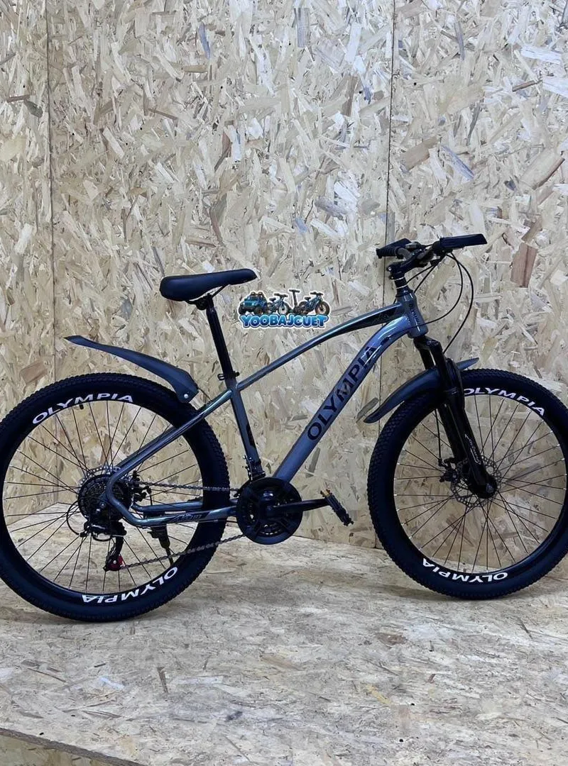 Vélo 26 pouces