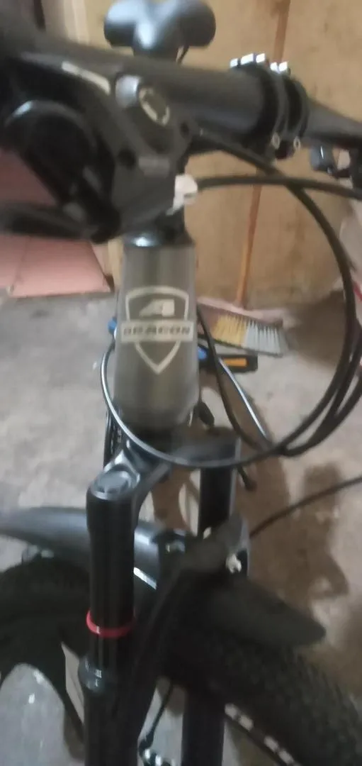 VTT Dragon