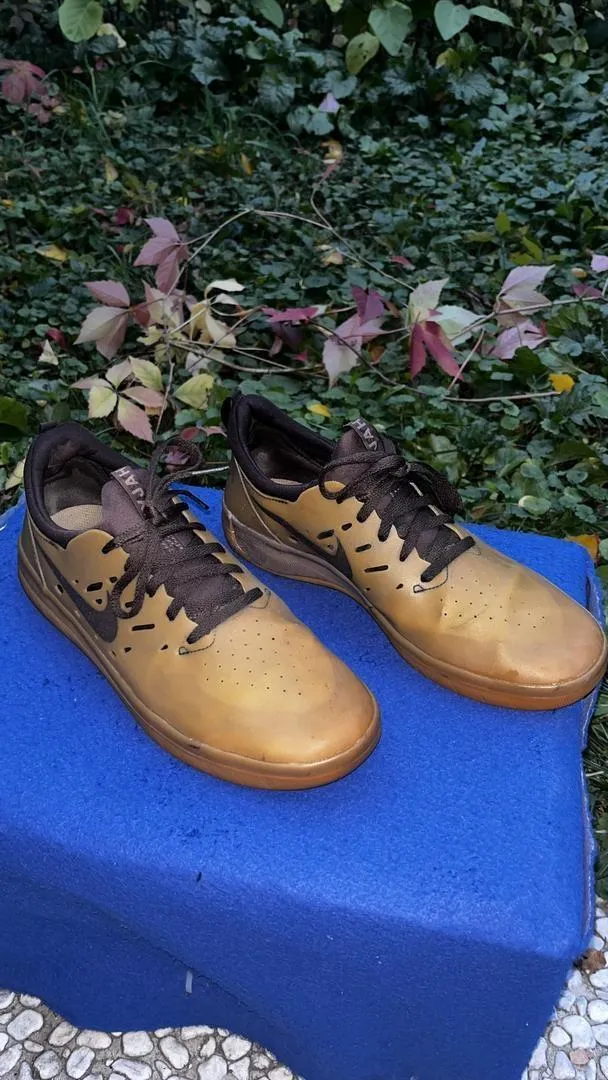 Nike Nike SB Nyjah Originales