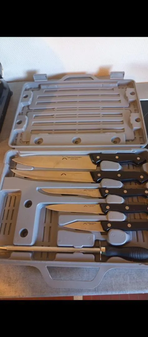 5 couteaux en acier inox made in France