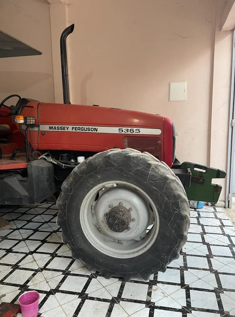 Tracteur Massey Ferguson 5365