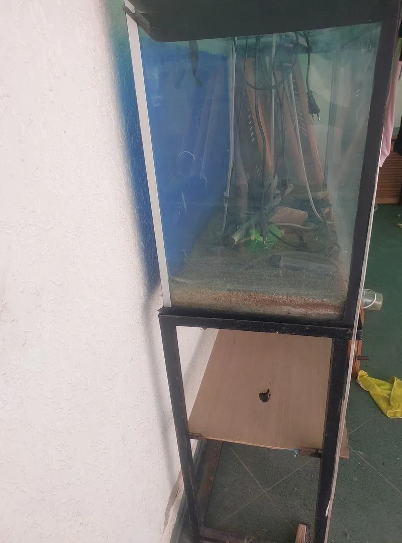 Aquarium en très bon état avec ses accessoires