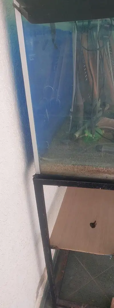 Aquarium en très bon état avec ses accessoires