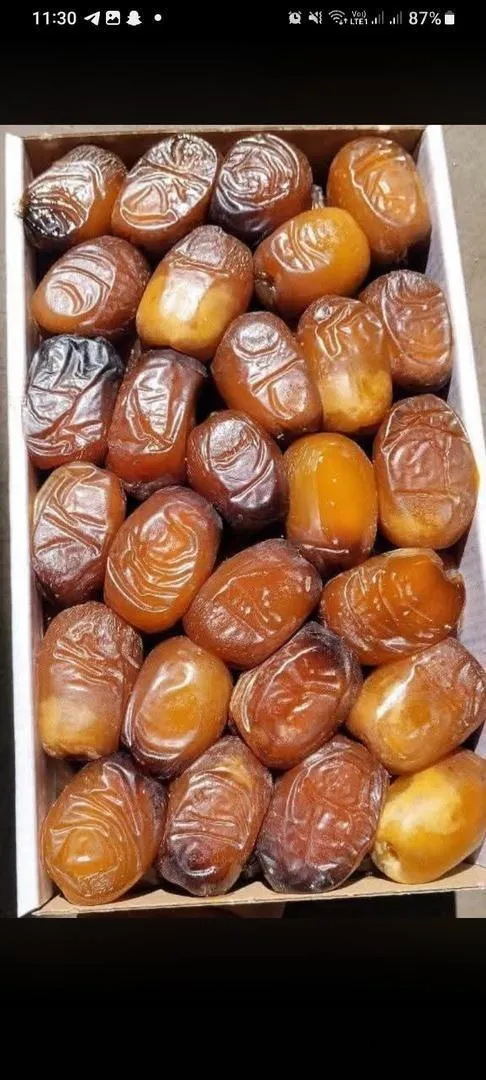 Nouveaux dattes du pays