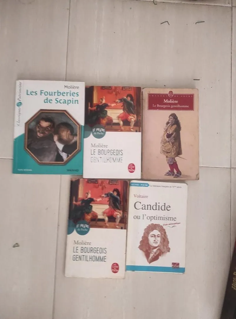 Lot de livres en littérature