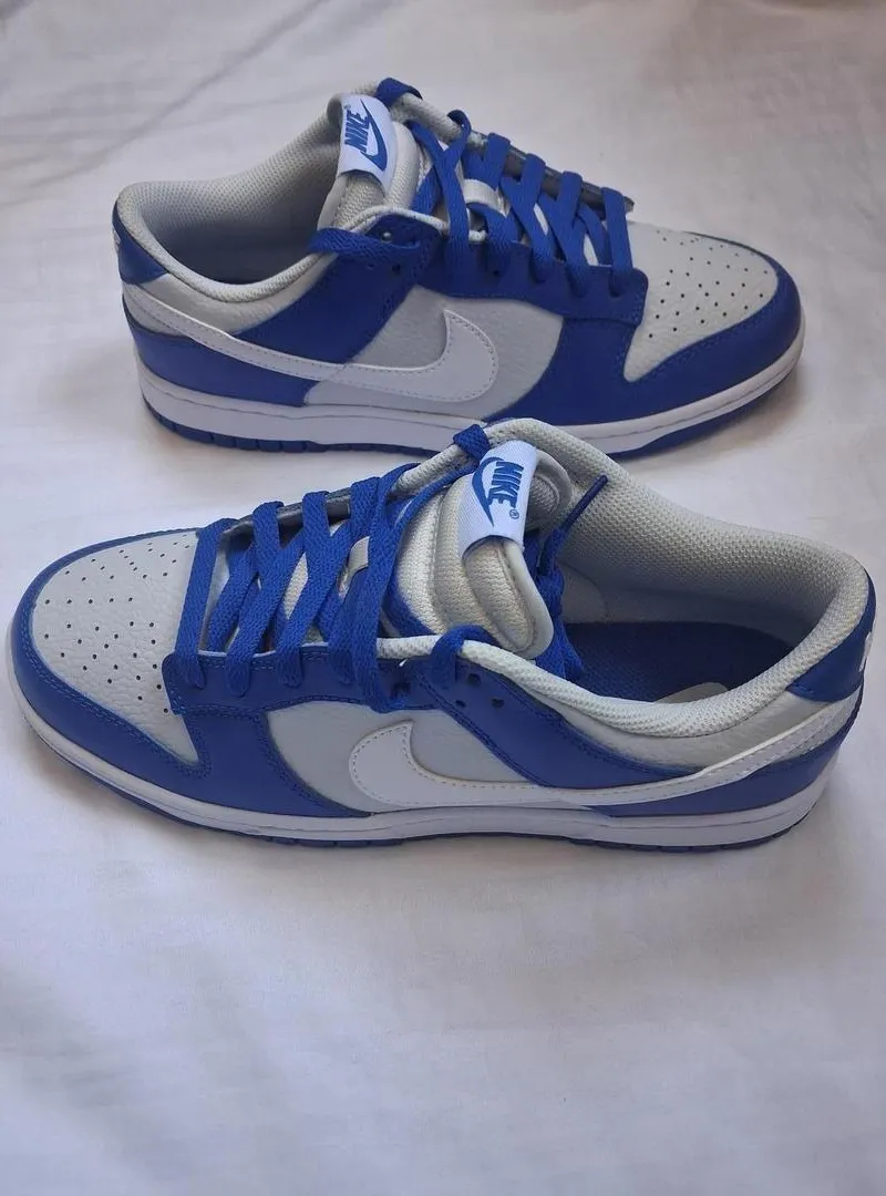 Nike Dunk Low Bleu et Blanc – Pointure 42