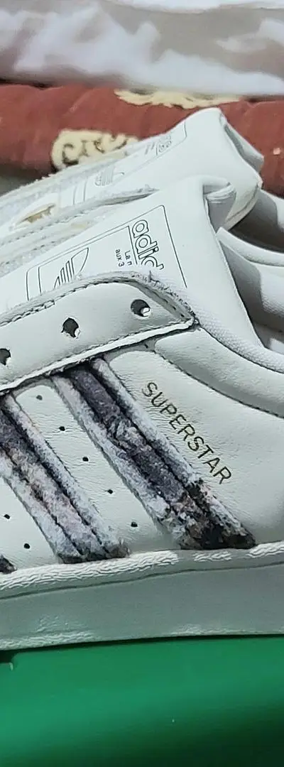 Baskets Adidas Superstar à vendre