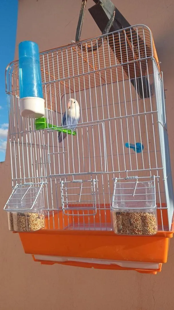 Fichier à vendre. Le prix est négociable. La bonne affaire Opale.