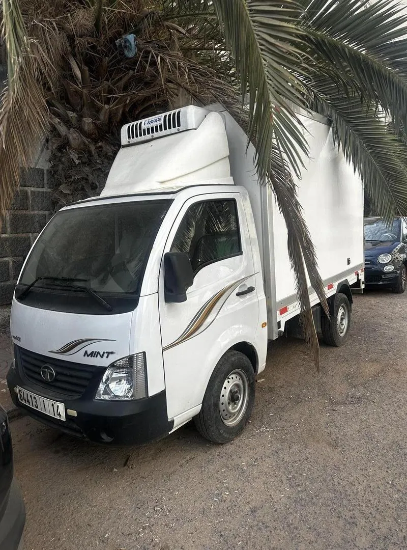 Mini camion Tata