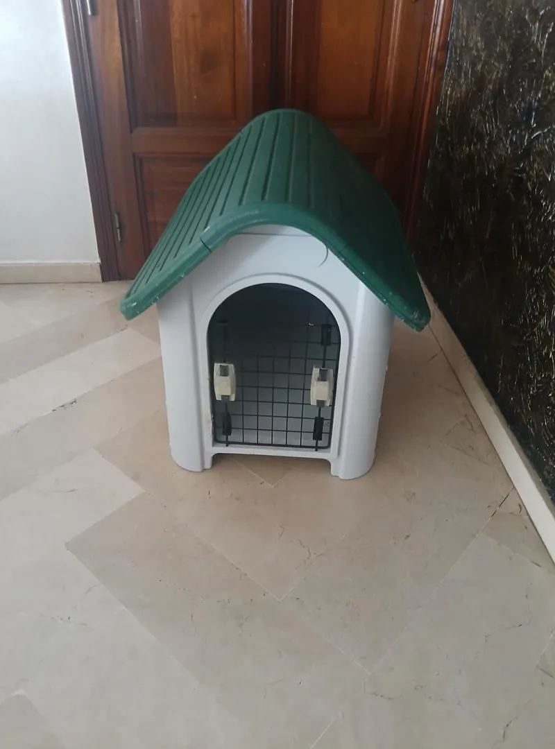 Maison pour chien