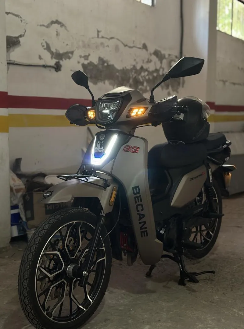 Vélo Rieberro 33