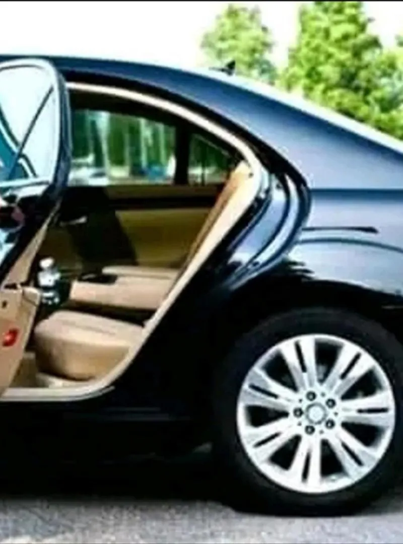 Chauffeur professionnel polyvalent