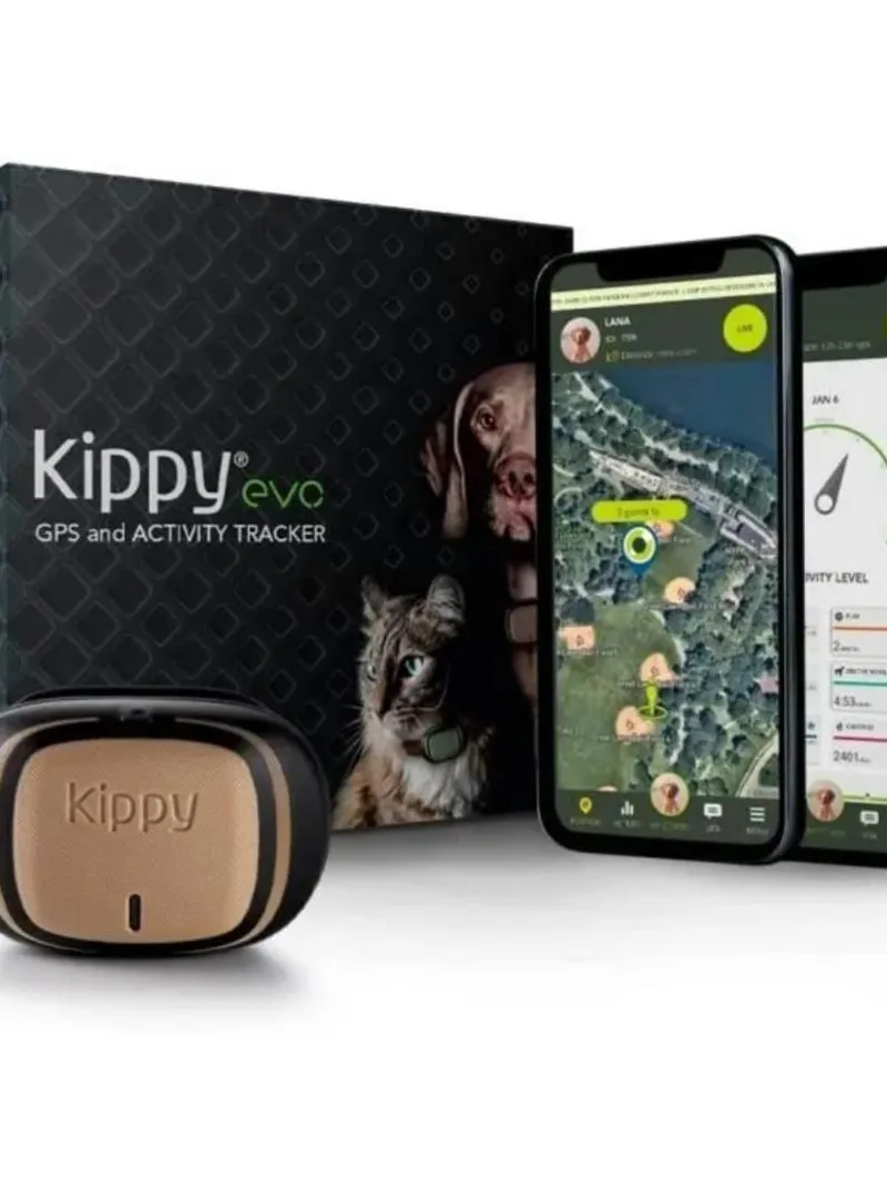 GPS POUR LES CHIEN ET CHAT