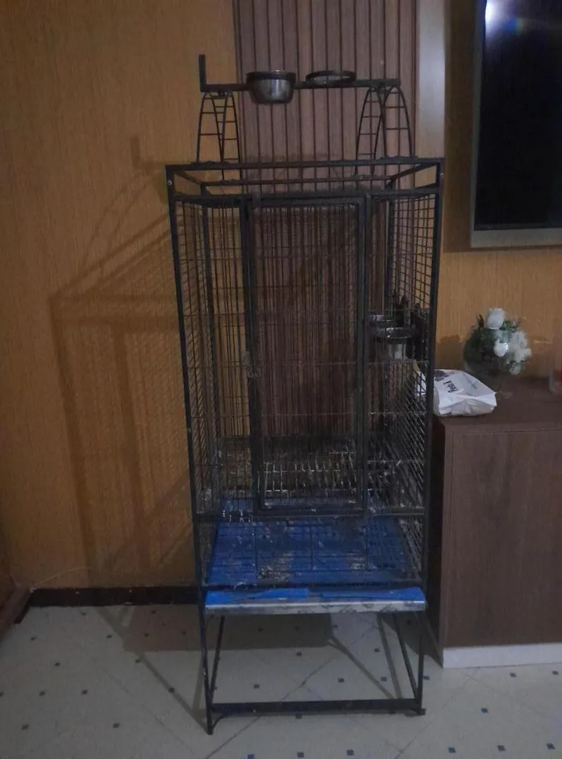 Cage d'un perroquet